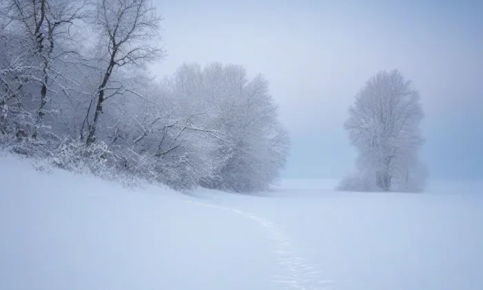 Kostel svatého Isidora (Nové Losiny) – winter