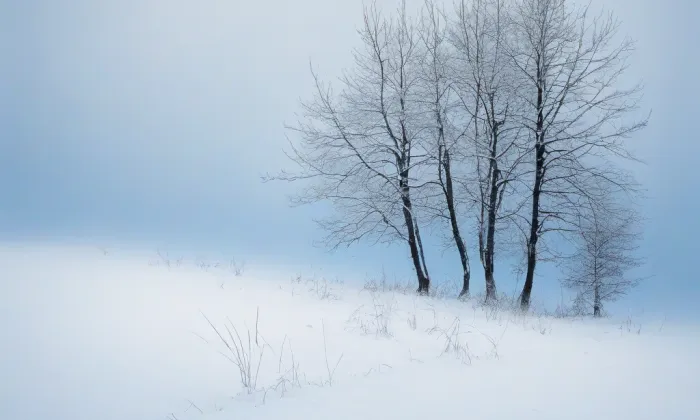 Kostel svatého Jakuba (Bílá Třemešná) – winter