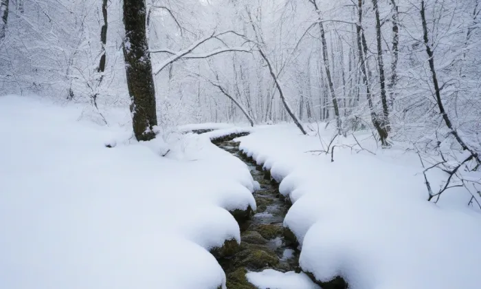 Kostel svatého Jakuba (Bochov) – winter