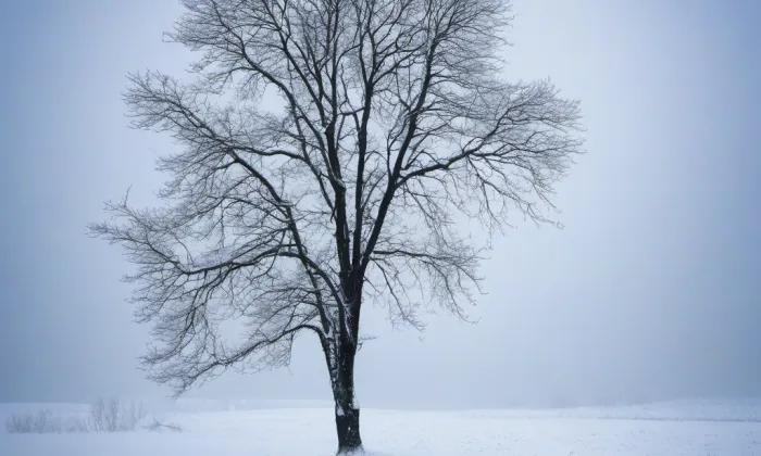 Kostel svatého Jakuba (Chvojen) – winter