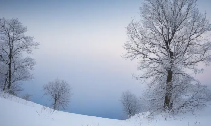Kostel svatého Jakuba (Dolní Olešnice) – winter