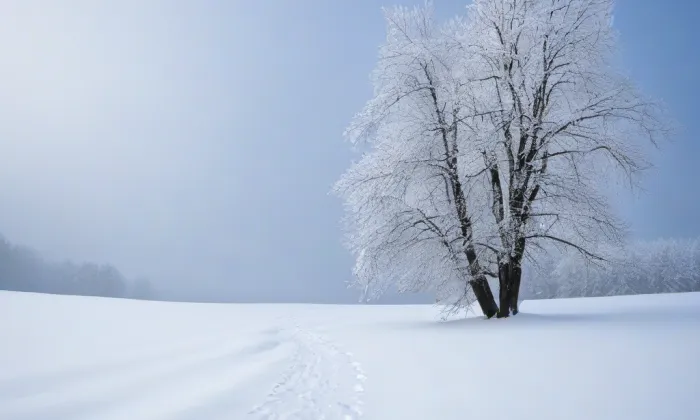 Kostel svatého Jakuba (Polička-Město) – winter