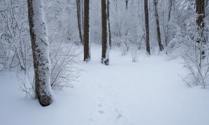Kostel svatého Jakuba apoštola (Čížkovice) – winter