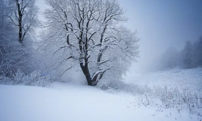Kostel svatého Jakuba apoštola (Mrzlice) – winter