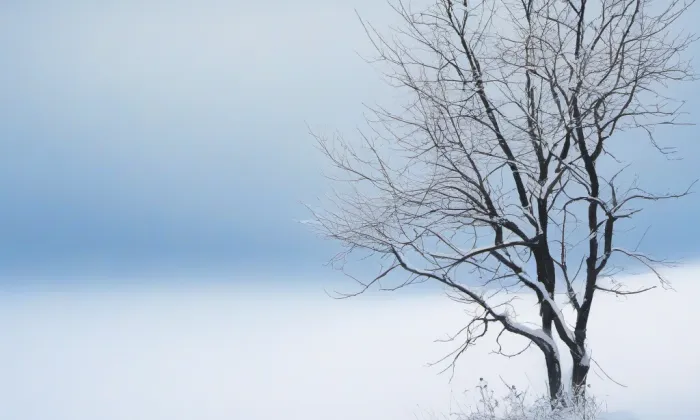 Kostel svatého Jakuba apoštola v Hřivicích – winter