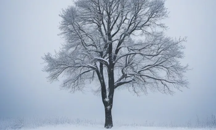 kostel svatého Jakuba Staršího (Brno-město) – winter