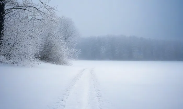 kostel svatého Jakuba Staršího (Cvrčovice) – winter