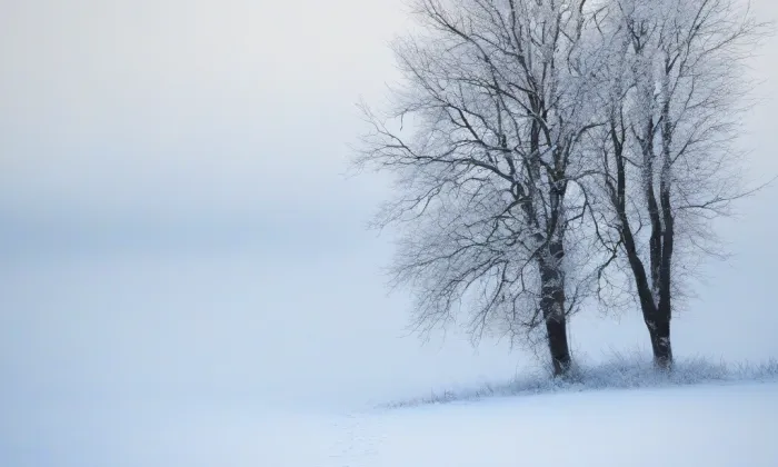 Kostel svatého Jakuba Staršího (Letařovice) – winter