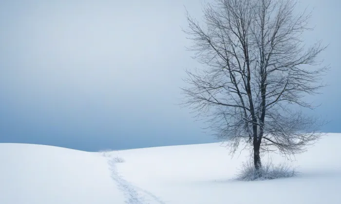 Kostel svatého Jakuba Staršího (Litoměřice) – winter
