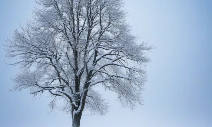 kostel svatého Jakuba Staršího (Městečko Trnávka) – winter