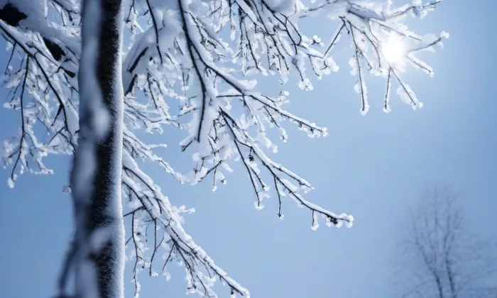 Kostel svatého Jakuba Staršího (Medonosy) – winter