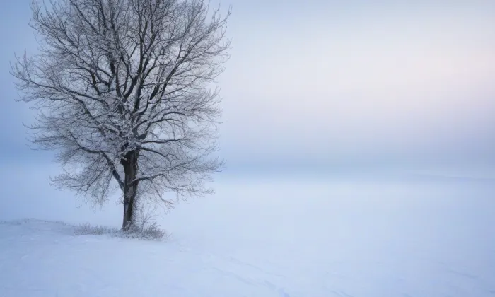 Kostel svatého Jakuba Staršího (Svádov) – winter