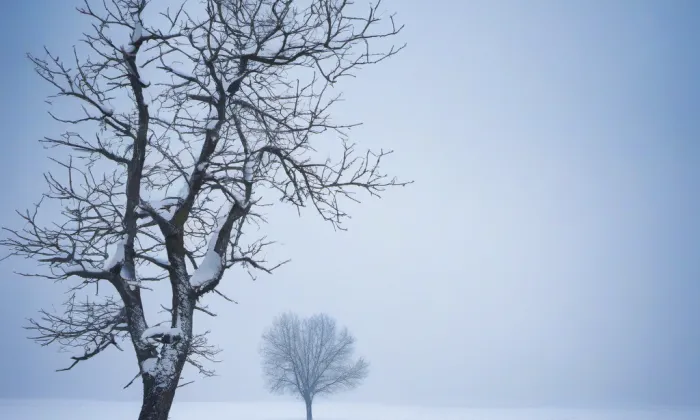 Kostel svatého Jakuba Staršího (Zápy) – winter