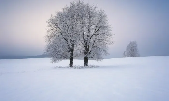 Kostel svatého Jakuba Většího (Železný Brod) – winter