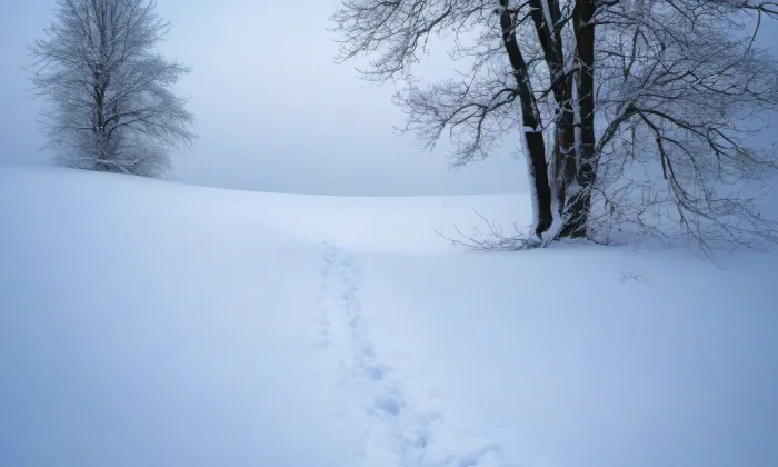 kostel svatého Jakuba Většího (Černín) – winter