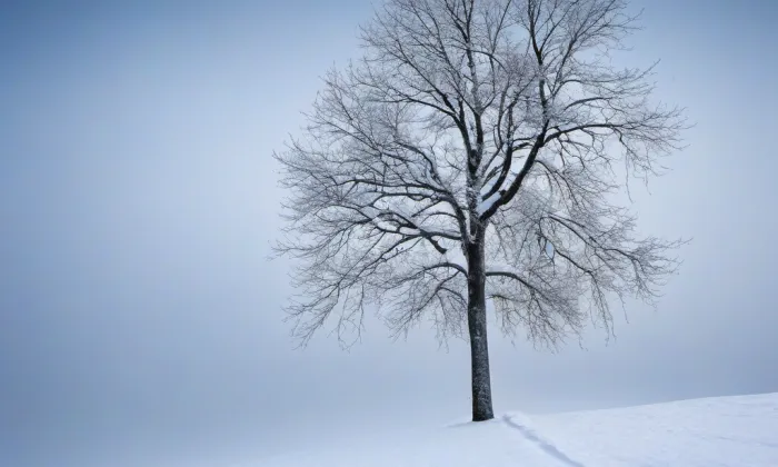 kostel svatého Jakuba Většího (Brod nad Tichou) – winter