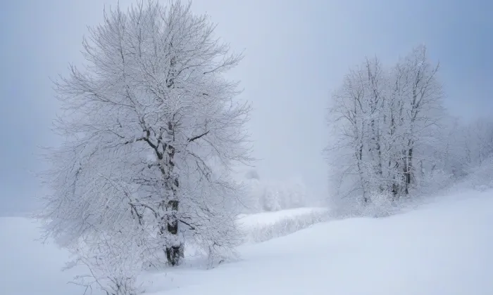 kostel svatého Jakuba Většího (Mezilesí) – winter