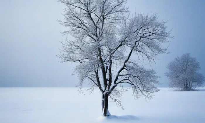 Kostel svatého Jakuba Většího (Ruprechtice) – winter