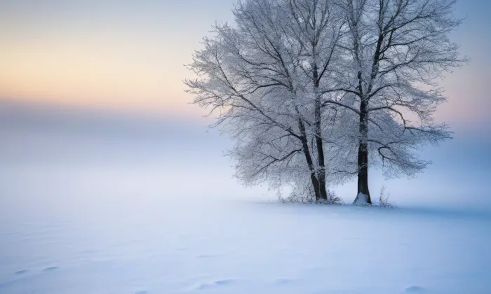 Kostel svatého Jakuba Většího v České Kamenici – winter