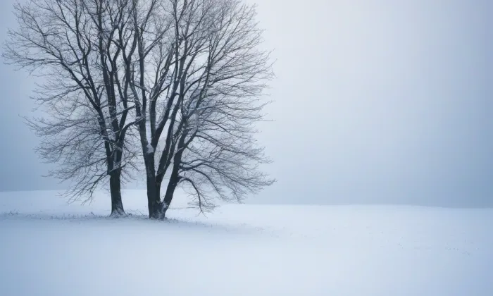 Kostel svatého Jana Evangelisty (Šumperk) – winter