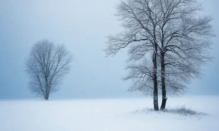 Kostel svatého Jana Křtitele (Újezd pod Troskami) – winter