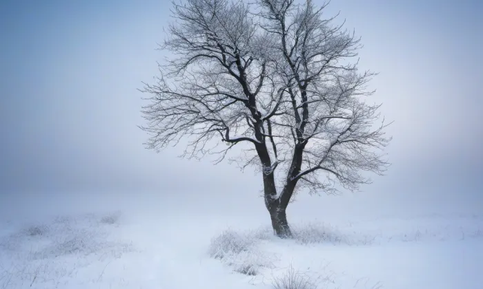 Kostel svatého Jana Křtitele (Dvůr Králové nad Labem) – winter