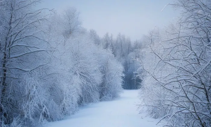 kostel svatého Jana Křtitele (Frenštát pod Radhoštěm) – winter