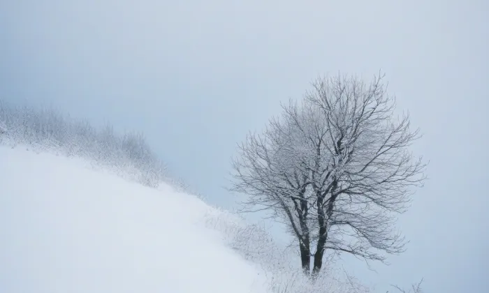 Kostel svatého Jana Křtitele (Hoštice) – winter