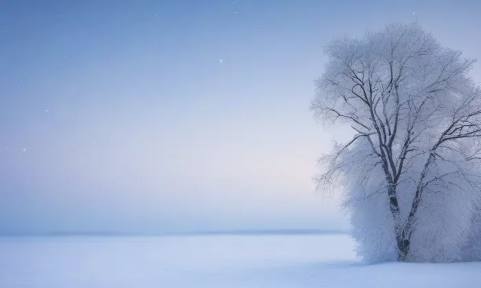 kostel svatého Jana Křtitele (Horní Cerekev) – winter