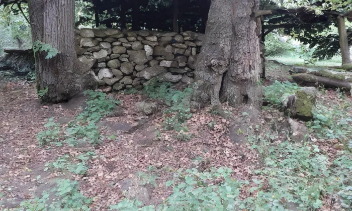 Kostel svatého Jana Křtitele (Janovičky) – historical