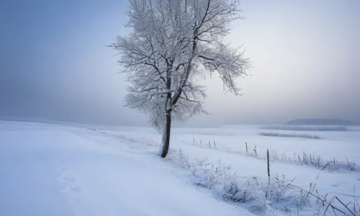 Kostel svatého Jana Křtitele (Janovičky) – winter