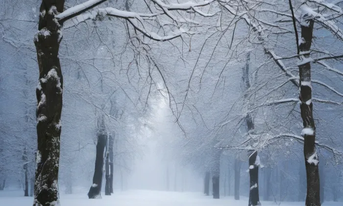 Kostel svatého Jana Křtitele (Janovice nad Úhlavou) – winter