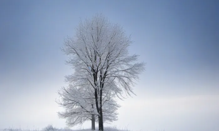 Kostel svatého Jana Křtitele (Mladkov) – winter