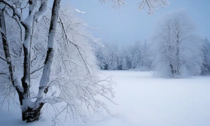 Kostel svatého Jana Křtitele (Náchod) – winter