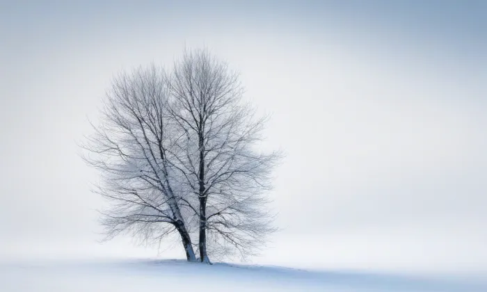kostel svatého Jana Křtitele (Přibice) – winter