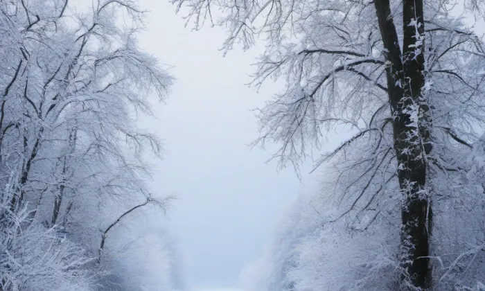 Kostel svatého Jana Křtitele (Skalná) – winter