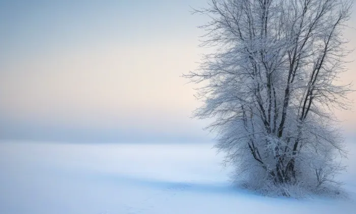 Kostel svatého Jana Křtitele (Studenec) – winter