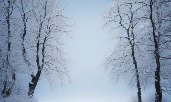 kostel svatého Jana Křtitele (Svitávka) – winter