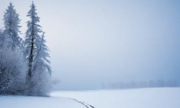 kostel svatého Jana Křtitele (Uherčice) – winter