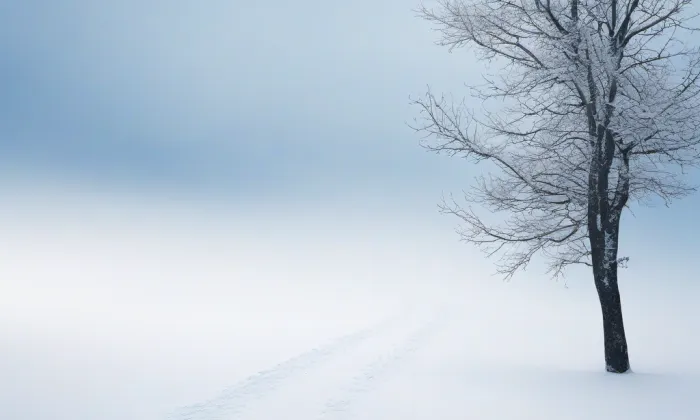 Kostel svatého Jana Křtitele (Vřeskovice) – winter