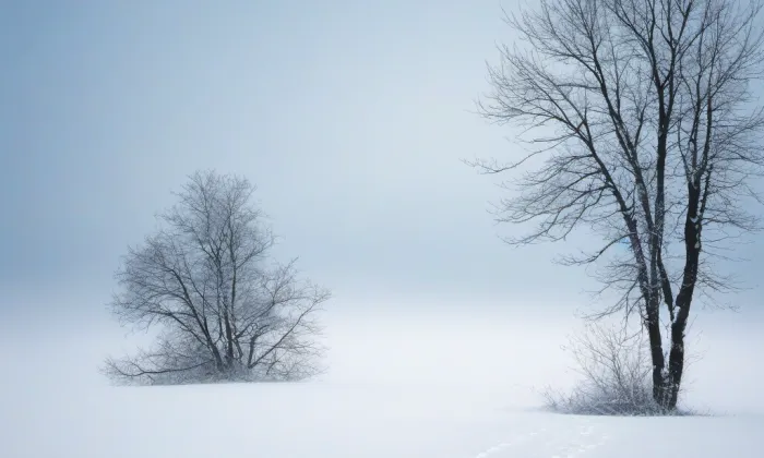Kostel svatého Jana Křtitele (Znojmo) – winter