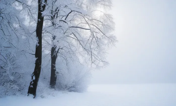 Kostel svatého Jana Křtitele a svatého Jana Evangelisty (Opava-Město) – winter