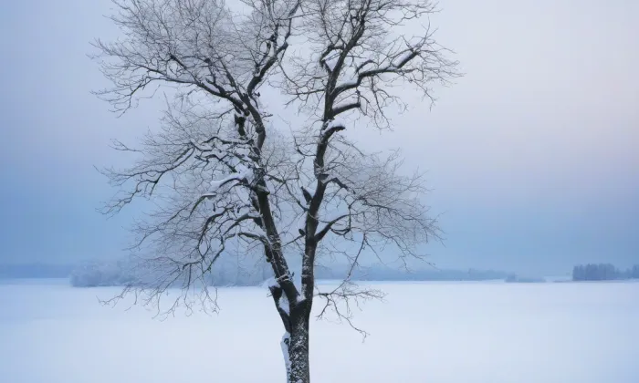 Kostel svatého Jana Křtitele a svatého Prokopa – winter
