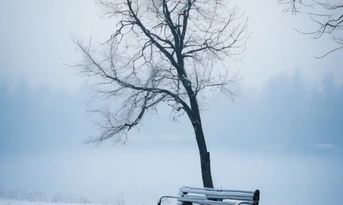 Kostel svatého Jana Křtitele ve Zdislavě – winter