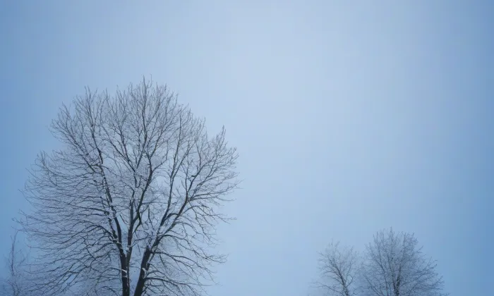Kostel svatého Jana Nepomuckého (Šemanovice) – winter
