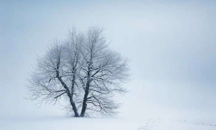 Kostel svatého Jana Nepomuckého (Hlavňovice) – winter
