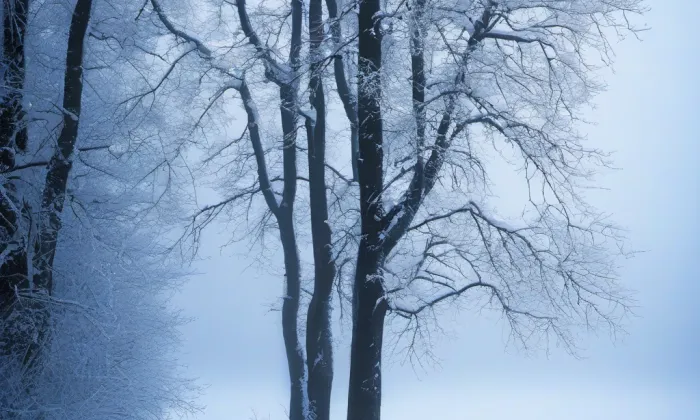 Kostel svatého Jana Nepomuckého (Nové Hamry) – winter