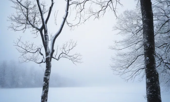 Kostel svatého Jana Nepomuckého (Pohořelice) – winter