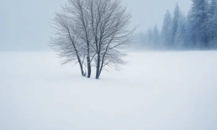 kostel svatého Jana Nepomuckého (Podolí) – winter