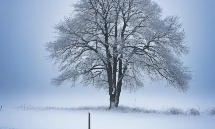 Kostel svatého Jana Nepomuckého (Studnice) – winter